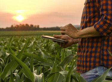 consultor de camisa xadrez vermelha em meio a plantação mapeando as máquinas agrícolas necessárias para as atividades